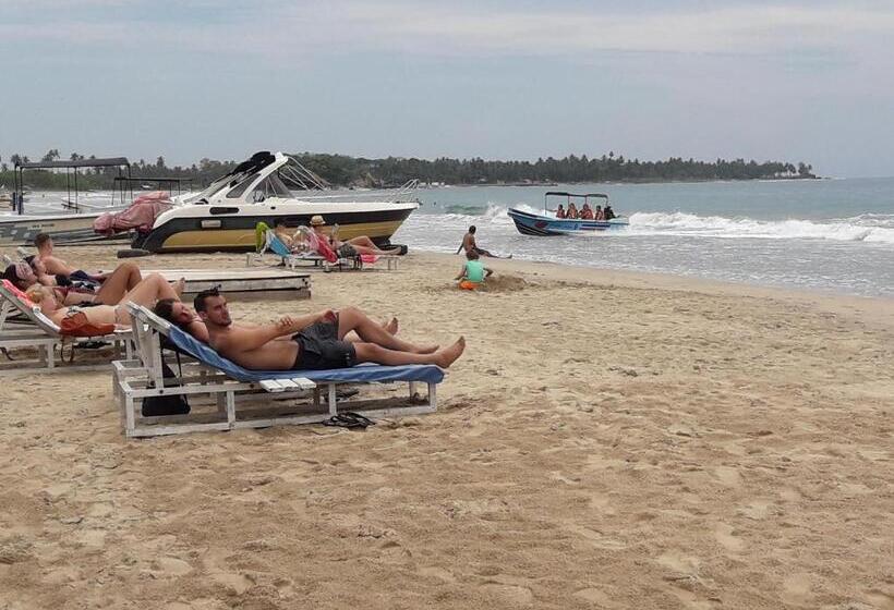 اتاق اکونومی, Surf Reef Beach