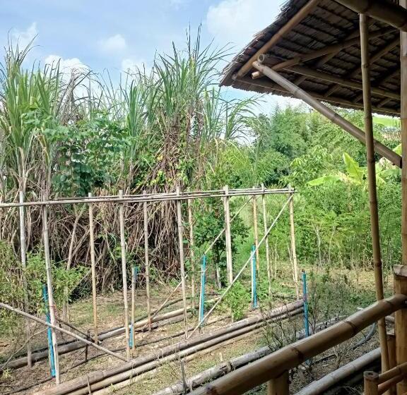 اتاق خانوادگی, สวนเกษตรรักษ์ไผ่ Bamboo Conservation Farm