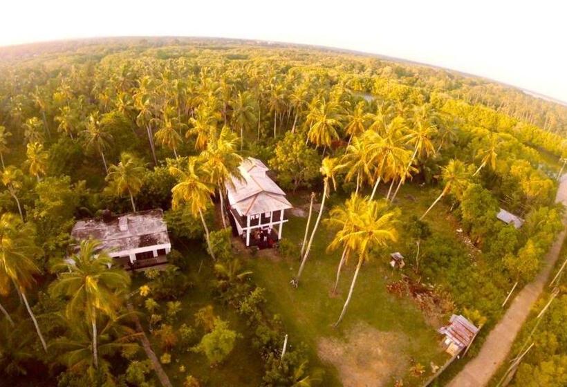اتاق لوکس با بالکن, Mellow Villa