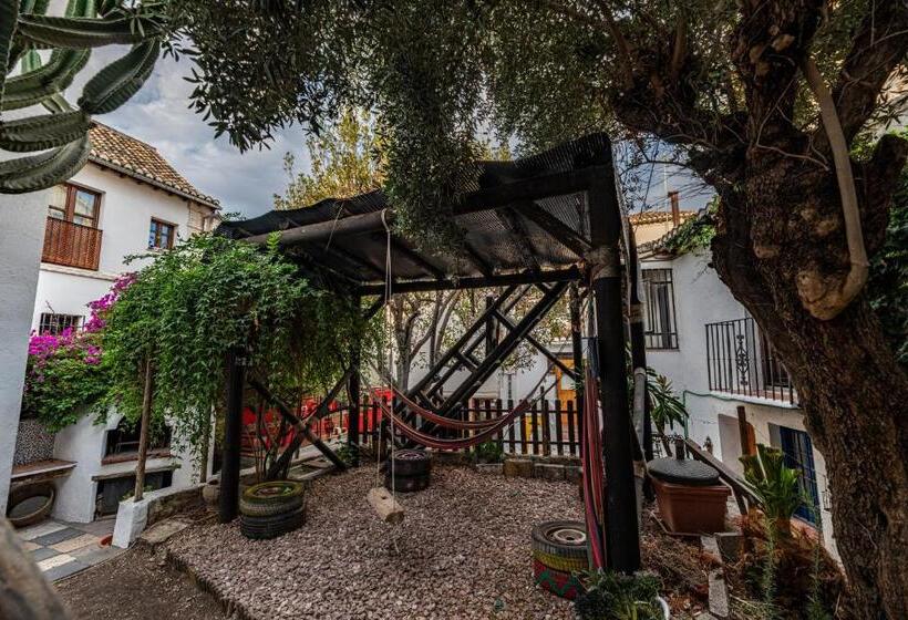 اتاق استاندارد چهار تخته, Amaka House