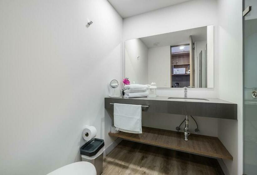 اتاق استاندارد, Apartamentos Go Living & Suites By Housy Host