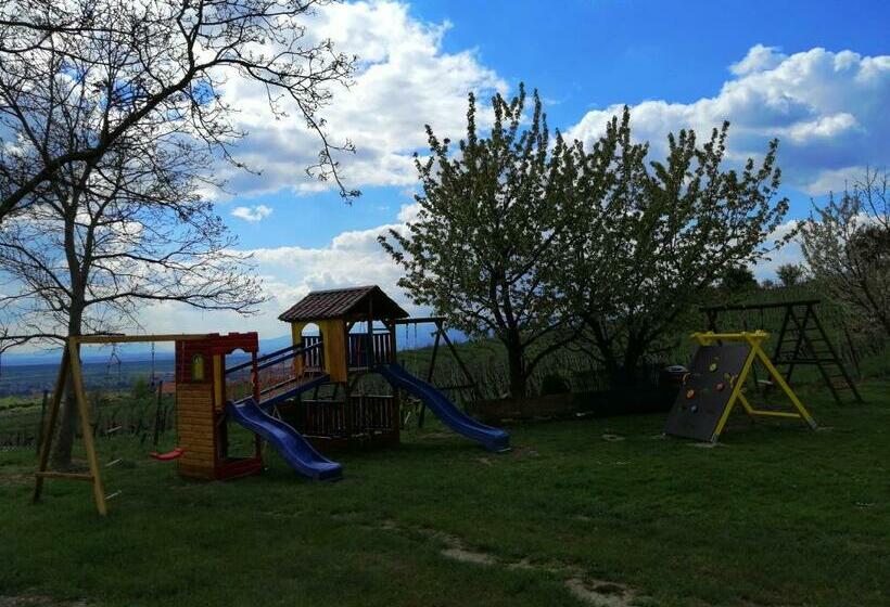 اتاق استاندارد با تراس, Guesthouse Prenočišča širec