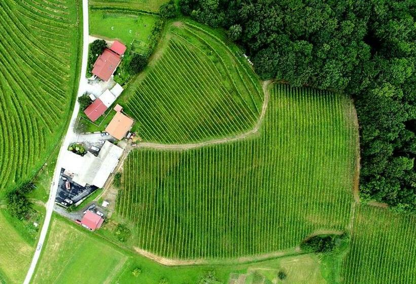 اتاق استاندارد با تراس, Guesthouse Prenočišča širec