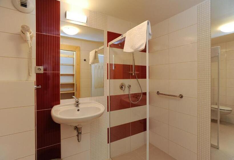 اتاق استاندارد سه نفره, Erlebachova Bouda, Hotel   Resort Svatý František
