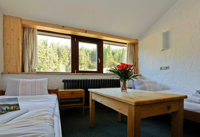 اتاق استاندارد, Erlebachova Bouda, Hotel   Resort Svatý František