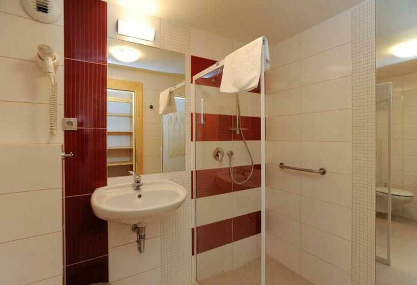 اتاق استاندارد, Erlebachova Bouda, Hotel   Resort Svatý František