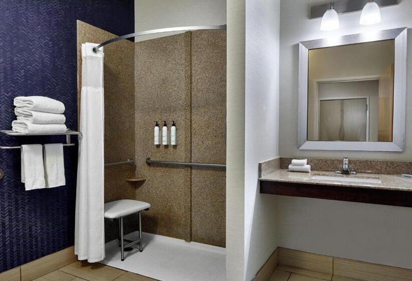 استودیو استاندارد با تخت کینگ, Fairfield Inn & Suites By Marriott Gainesville