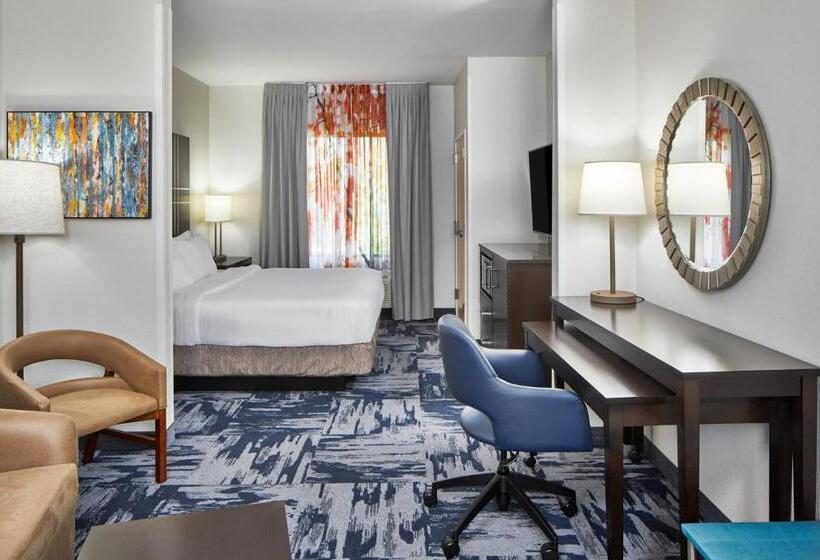 استودیو استاندارد با تخت کینگ, Fairfield Inn & Suites By Marriott Gainesville