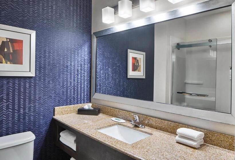 استودیو استاندارد با تخت کینگ, Fairfield Inn & Suites By Marriott Gainesville