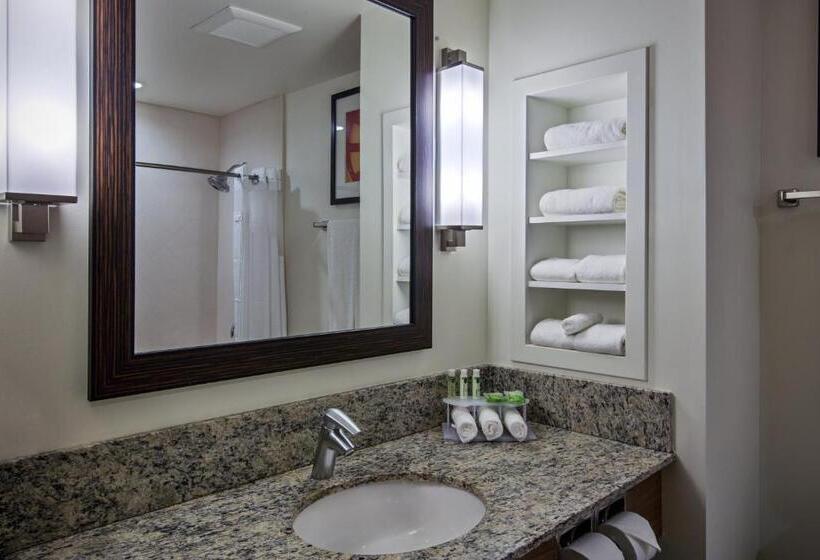 Suite (behindertengerecht), Holiday Inn Express & Suites Kailuakona