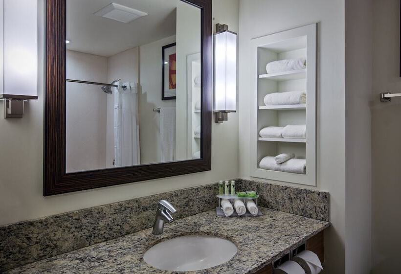 Standard Room Adapted for people with reduced mobility, Holiday Inn Express & Suites Kailuakona