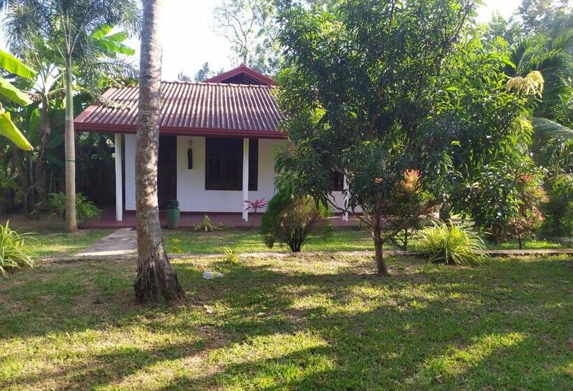 اتاق اکونومی, Lions Villa   Marakolliya