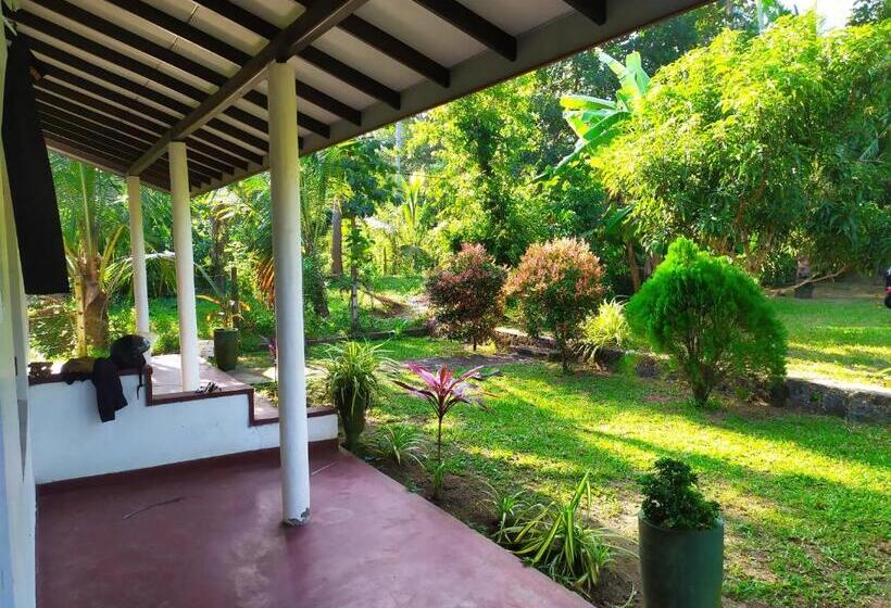 اتاق اکونومی, Lions Villa   Marakolliya