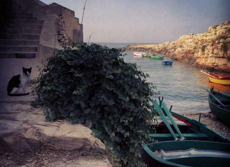 آپارتمان لوکس 1 خوابه, La Casetta Di Chiara B&b