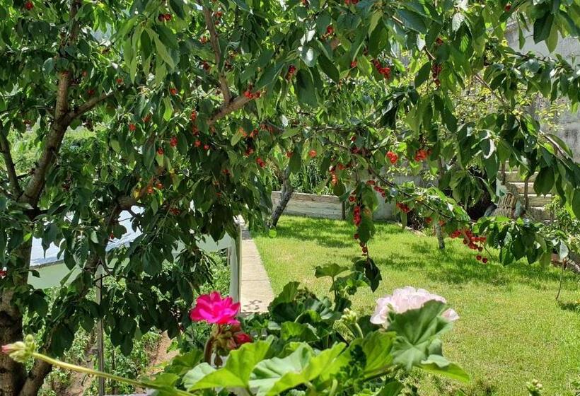 آپارتمان 3 خوابه, къща за гости солакови
