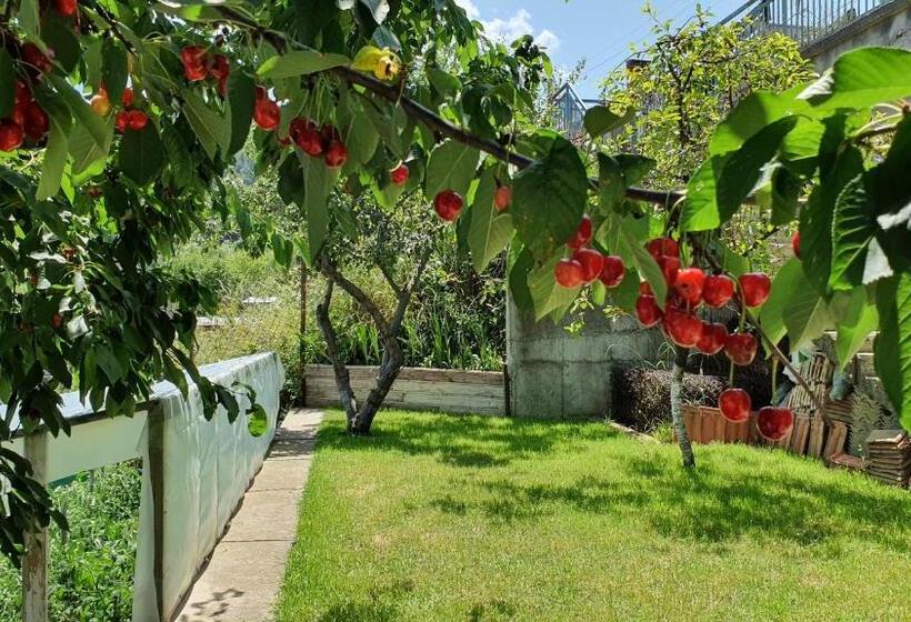 آپارتمان 3 خوابه, къща за гости солакови