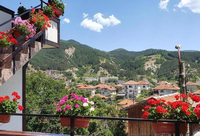 آپارتمان 3 خوابه, къща за гости солакови