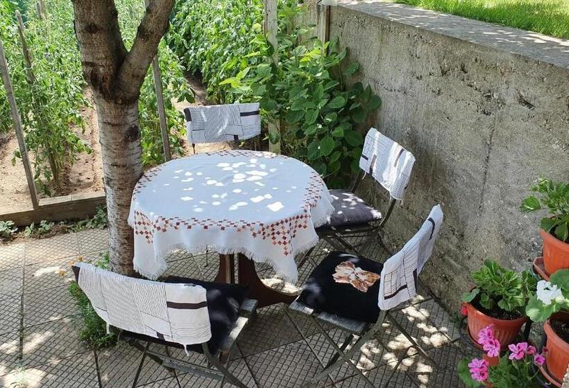 آپارتمان 3 خوابه, къща за гости солакови