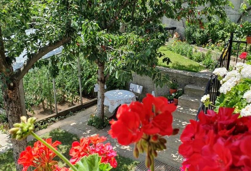 آپارتمان 3 خوابه, къща за гости солакови