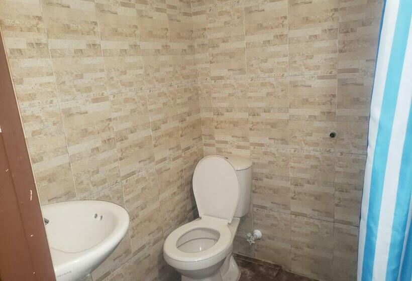 اتاق استاندارد یک نفره, Hostal Hollywood Inn Ii
