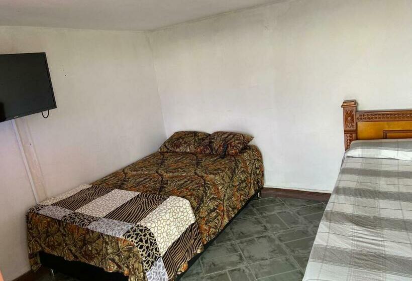 اتاق استاندارد یک نفره, Hostal Hollywood Inn Ii