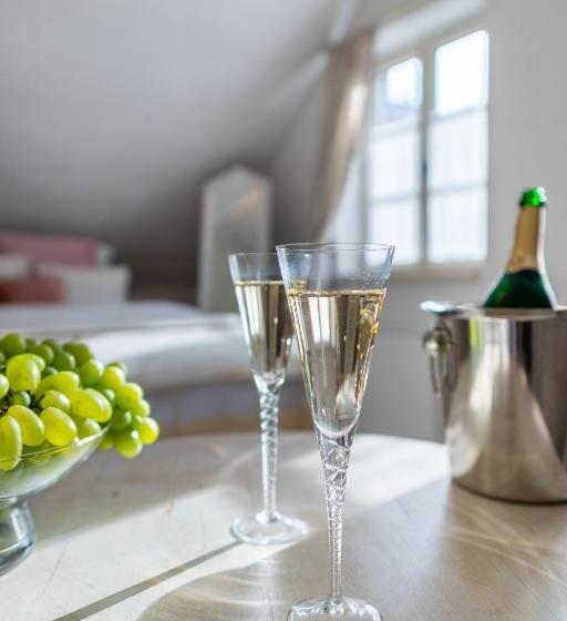 اتاق لوکس, Boutique Hotel Soukeníkův Dům
