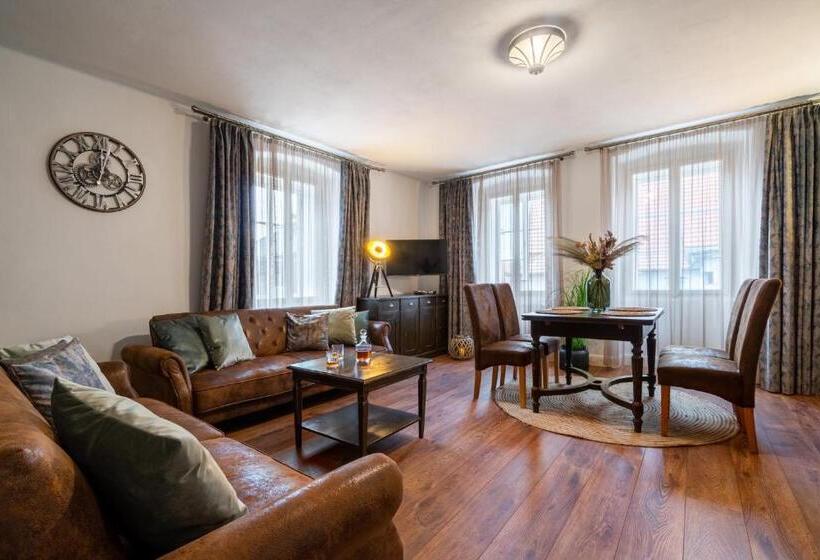 آپارتمان سوپریور 1 خوابه, Boutique Hotel Soukeníkův Dům