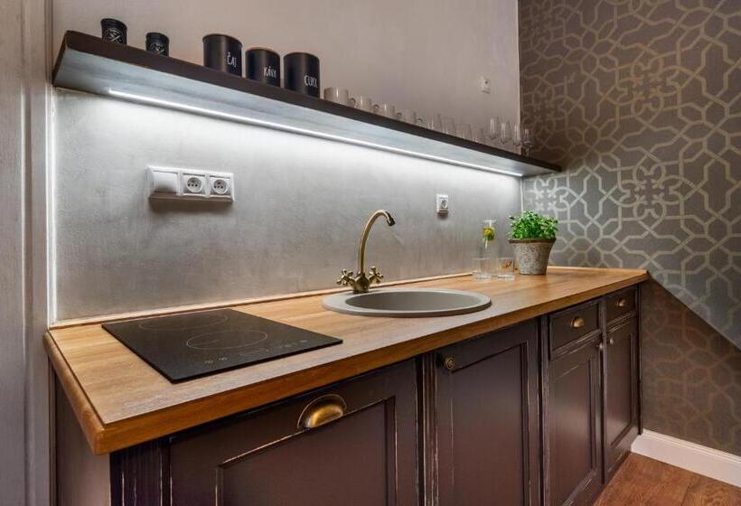 آپارتمان سوپریور 1 خوابه, Boutique Hotel Soukeníkův Dům