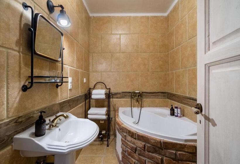 آپارتمان سوپریور 1 خوابه, Boutique Hotel Soukeníkův Dům