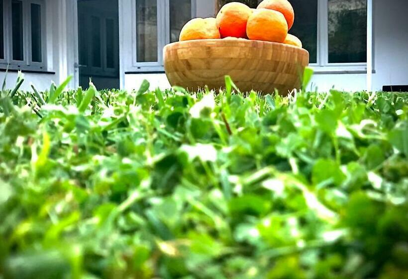 اتاق لوکس با تخت بزرگ, Numero20 B&b