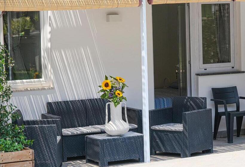 اتاق خانوادگی, Numero20 B&b