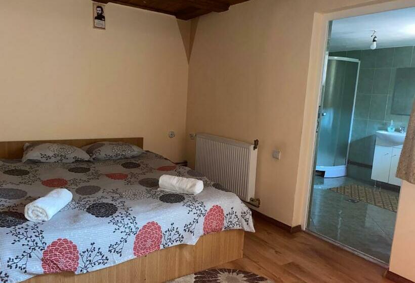 标准间, Casa Blendea Daniela