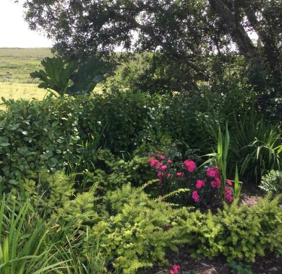 اتاق لوکس, Tullybeggs B&b