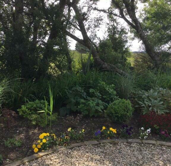 اتاق لوکس, Tullybeggs B&b