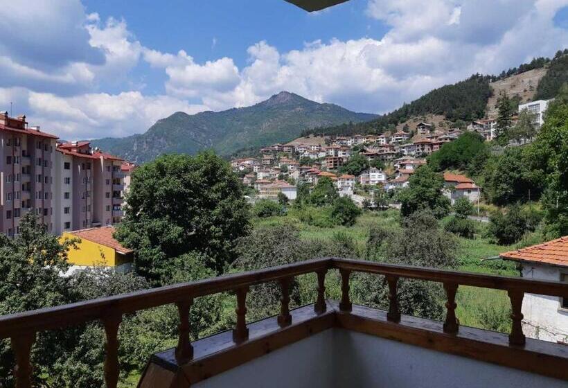استودیو خانوادگی, къща томови,стаи за гости