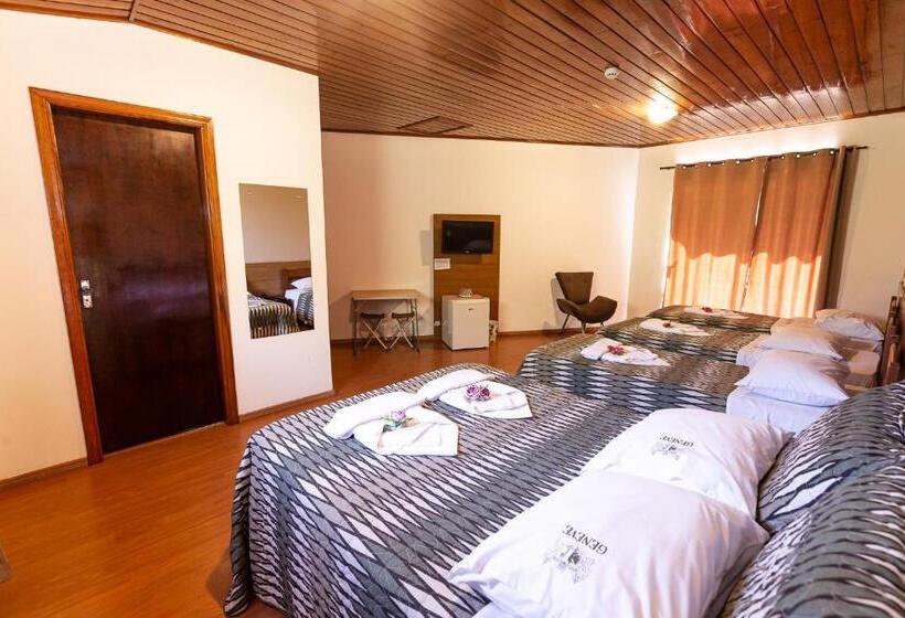 اتاق خانوادگی, Velinn Hotel Geneve