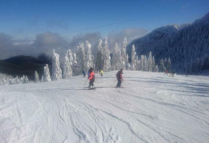 آپارتمان 1 خوابه با چشم‌انداز, Apartament 2706 Alpin Resort, Etaj 7, Poiana Brașov