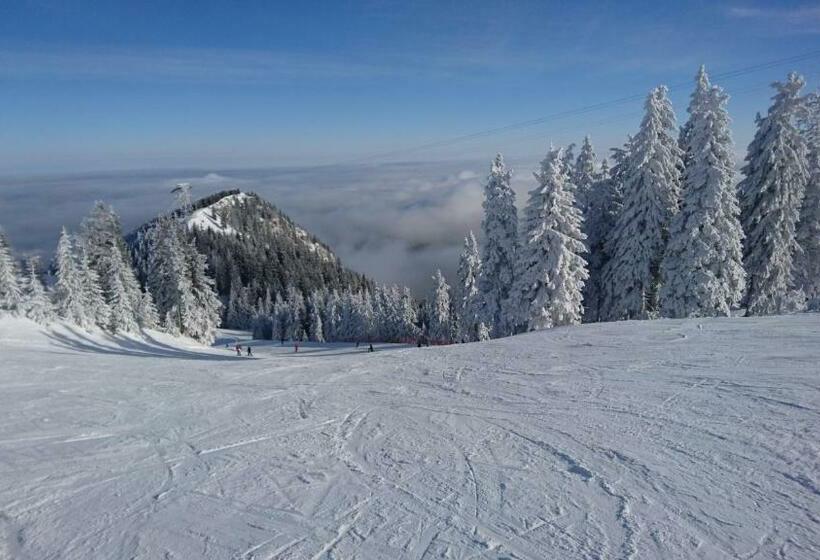 آپارتمان 1 خوابه با چشم‌انداز, Apartament 2706 Alpin Resort, Etaj 7, Poiana Brașov