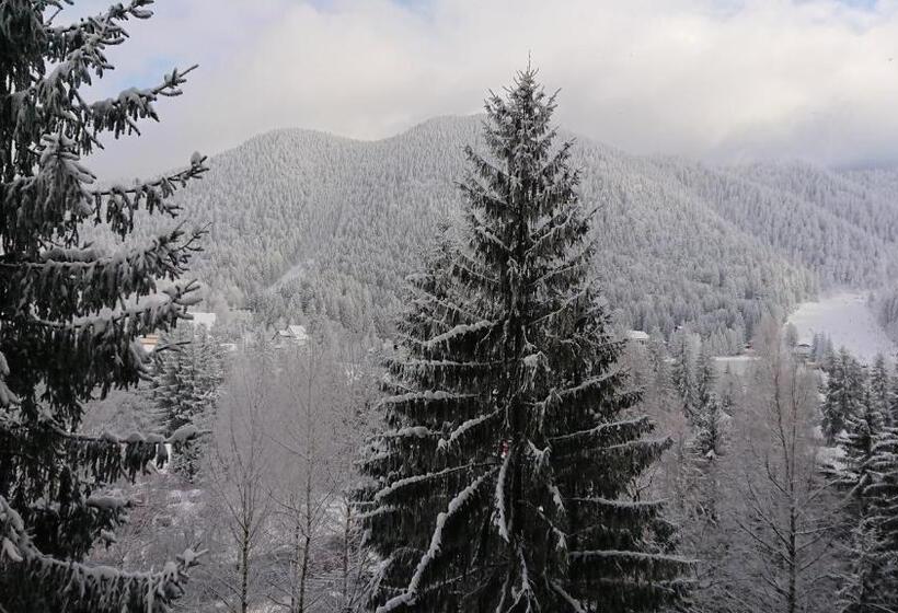 آپارتمان 1 خوابه با چشم‌انداز, Apartament 2706 Alpin Resort, Etaj 7, Poiana Brașov