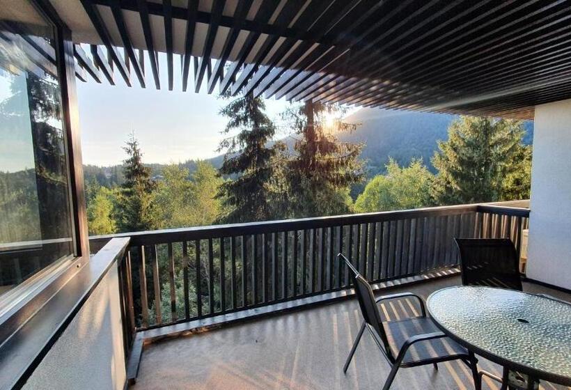 آپارتمان 1 خوابه با چشم‌انداز, Apartament 2706 Alpin Resort, Etaj 7, Poiana Brașov