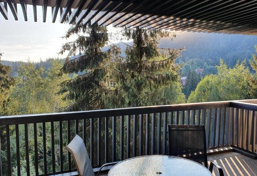 آپارتمان 1 خوابه با چشم‌انداز, Apartament 2706 Alpin Resort, Etaj 7, Poiana Brașov