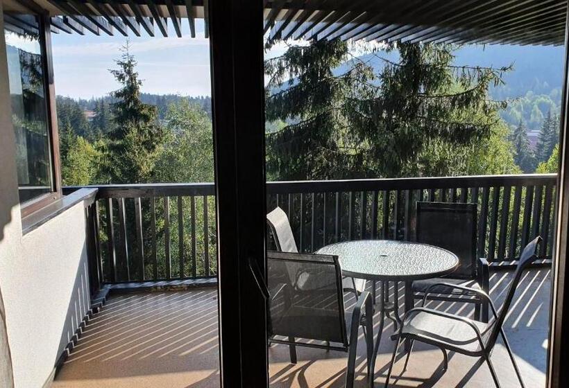 آپارتمان 1 خوابه با چشم‌انداز, Apartament 2706 Alpin Resort, Etaj 7, Poiana Brașov