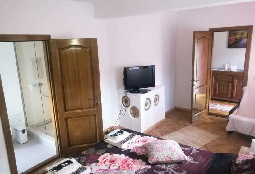 اتاق استاندارد با تخت بزرگ, Pensiunea Costesti