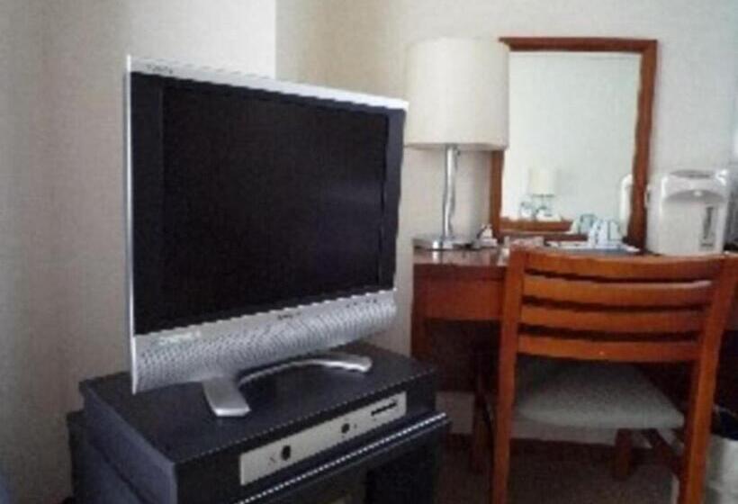 استودیوی استاندارد, Sky Heart Hotel Kawasaki / Vacation Stay 80807