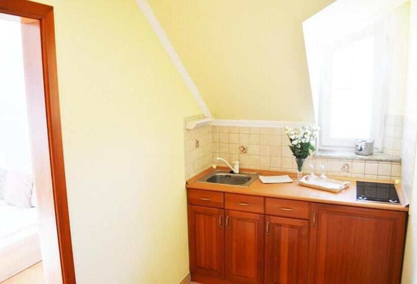 اتاق لوکس, Gyula Wellness Villa
