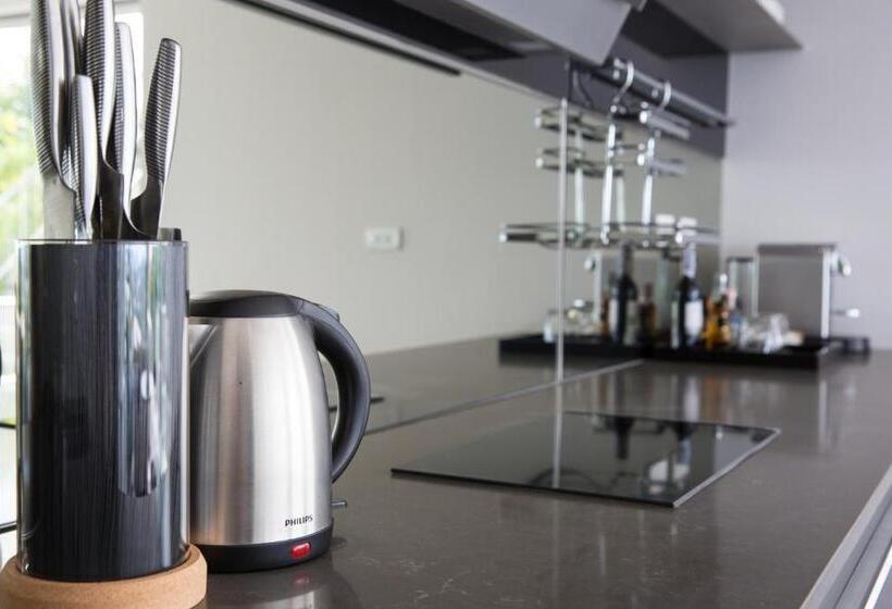 استودیوی استاندارد, Panoramic Duplex Studio