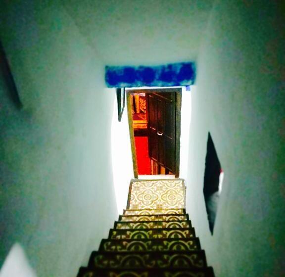 اتاق استاندارد, Casa Malek