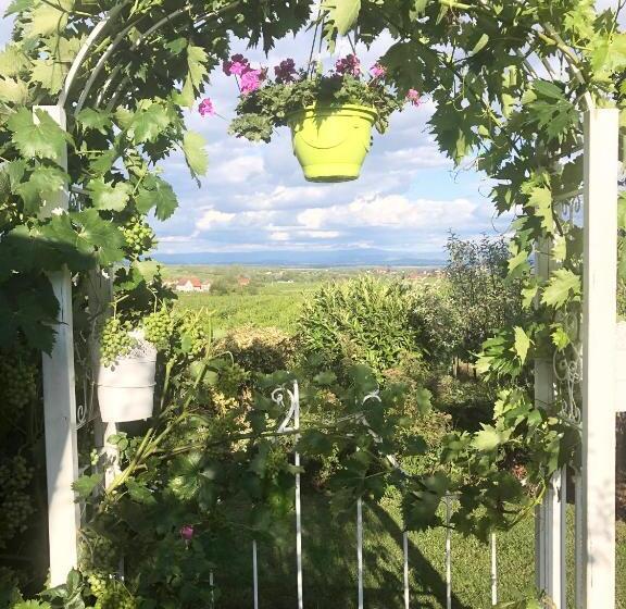 سوییت با چشم‌انداز کوه, Gite Riquewihr C Est Beau La Vie Alsace