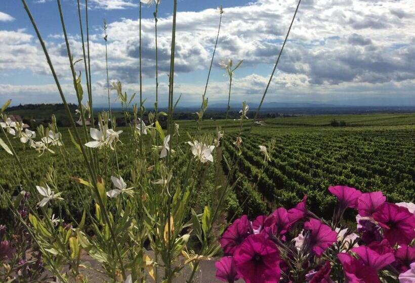 سوییت با چشم‌انداز کوه, Gite Riquewihr C Est Beau La Vie Alsace