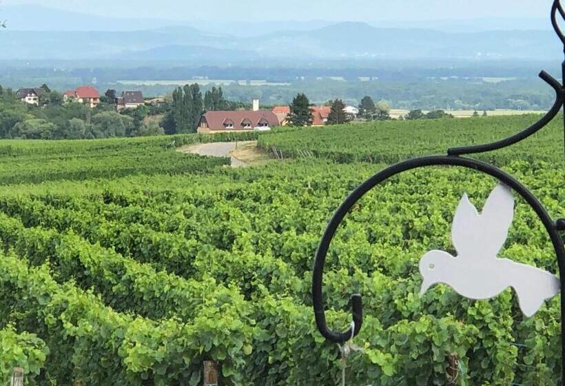 سوییت با چشم‌انداز کوه, Gite Riquewihr C Est Beau La Vie Alsace